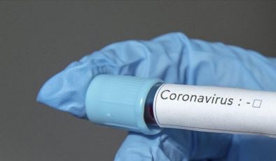 Corona Virüsü Can Almaya Devam Ediyor !