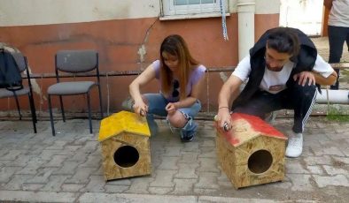 ERÜ öğrencileri fakültedeki kediler için barınma alanı yaptılar