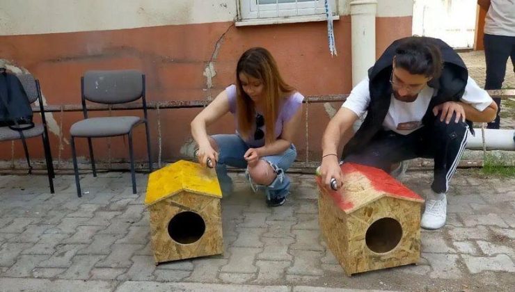 ERÜ öğrencileri fakültedeki kediler için barınma alanı yaptılar