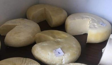 Pınarbaşı Çerkes Peyniri