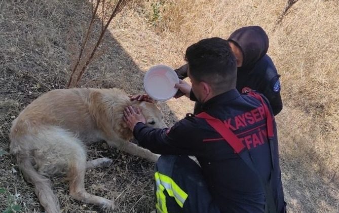Yanmak üzere olan köpek itfaiye ekiplerince kurtarıldı