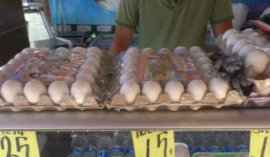 Yumurta fiyatları neden artıyor?