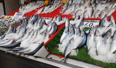 Balık fiyatları, bollaştıkça düşecek
