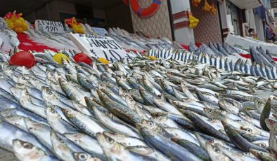 Balık fiyatları, bollaştıkça düşecek