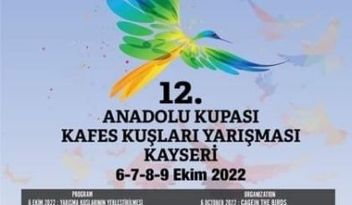 En güzel sesli kanarya yarışması Kayseri’de yapılacak
