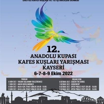En güzel sesli kanarya yarışması Kayseri’de yapılacak