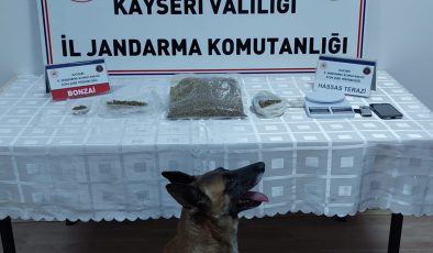 Narkotik köpeği ile uyuşturucu operasyonu