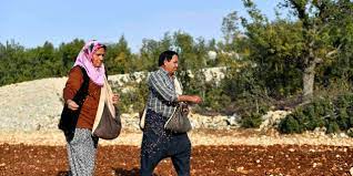 Anadolu’nun yerel buğdayı gelecek nesillere aktarılıyor