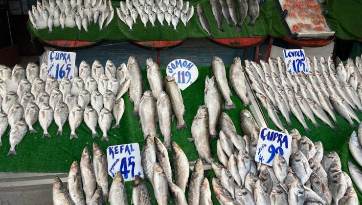 Balıkçı Çetinkaya, “Hamsiyi bu sene 50 liradan satarız”