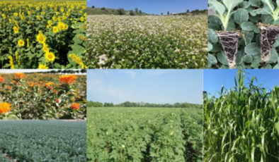 Bursa’nın 7 tarım projesine 3,7 milyon TL’lik bakanlık hibesi