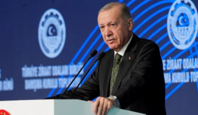 Erdoğan: Üretim planlamasına yeni desteklemeler yolda
